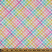 Load image into Gallery viewer, Reusable Makeup Wipes / Pads ~ Rainbow Gingham